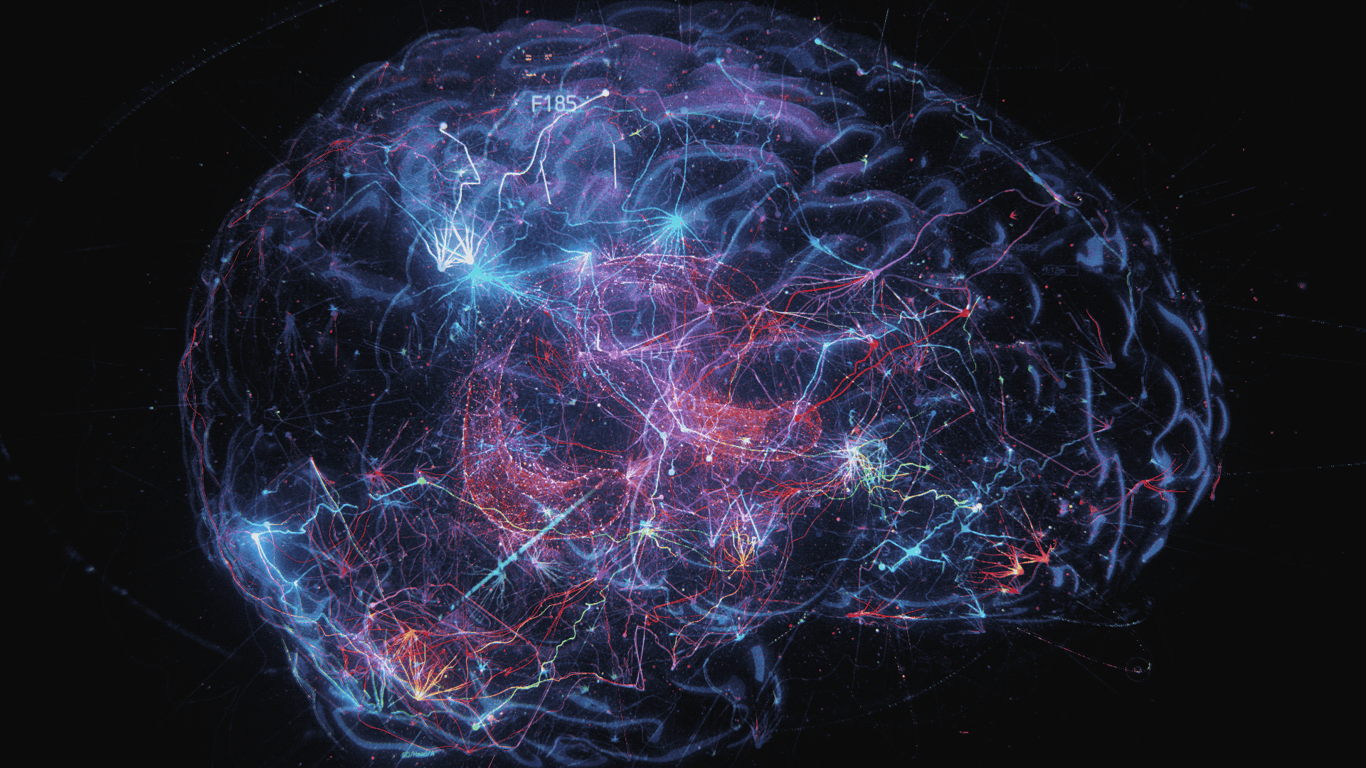 Brain GIF